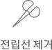 전립선 제거